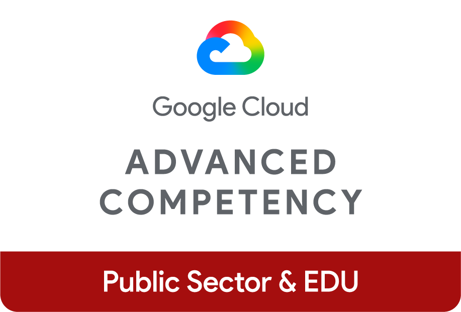 Public Sector & EDU · Advanced competency