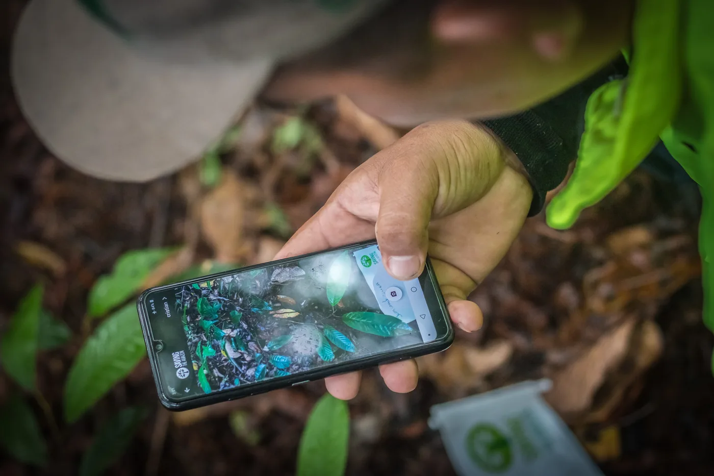 Integrante de uma comunidade parceira usando o aplicativo da Saving The Amazon para acompanhar uma árvore plantada
